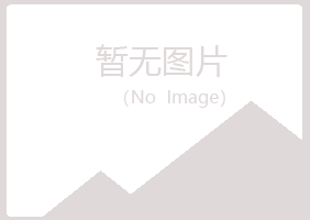 河池匆匆能源有限公司